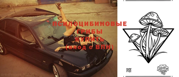 mdpv Верея